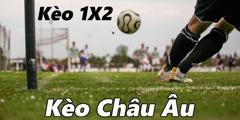 Cách đọc kèo bóng đá châu Âu 1x2 chuẩn